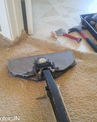 Carpet Cleaning Services in Indianapolis