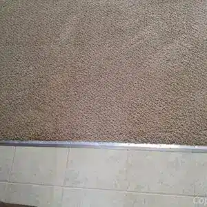 Carpet Cleaning Services in Indianapolis