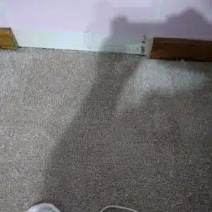 carpet cleaning in Franklin