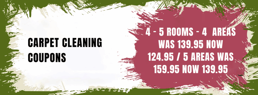 coupon special carpet cleaning