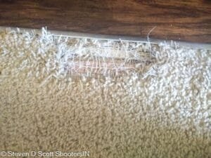 Carpet tear in dining room living area before