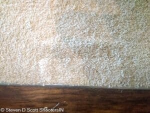 Carpet tear in dining room living area after